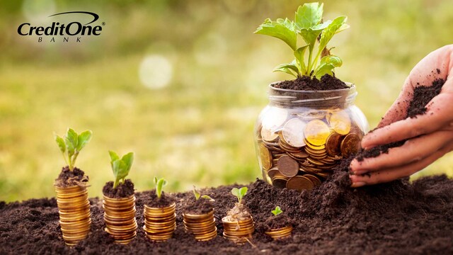 Little plants grow on coin stacks of increasing sizes with the biggest in a jar of money. A hand puts dirt on the largest pile, representing how you might need to get your hands dirty but you can build wealth without a high income.